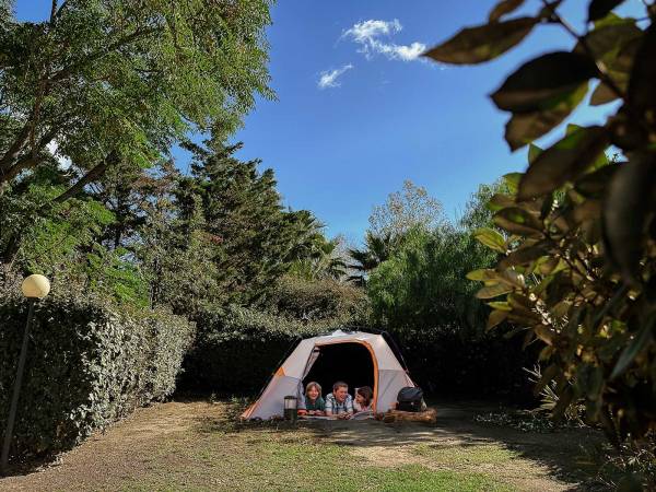 Camping pitches 2 flowers - Le Barcarès - Camping L'Oasis et California