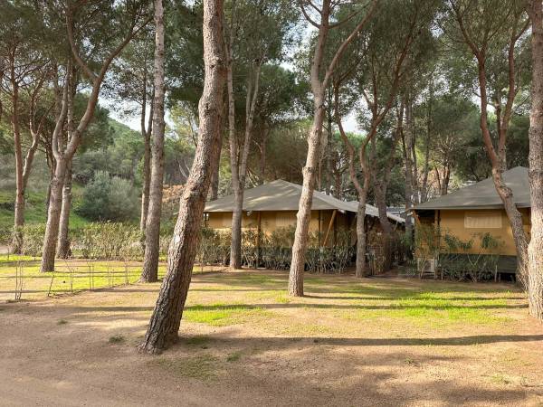 Camping pitches 2 flowers with private facilities - Colera - Camping Sant Miquel