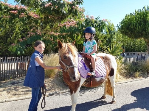 Camping Le Ranch Saint Michel Chef Chef Camping Yelloh Village Le Ranch In Loire Atlantique