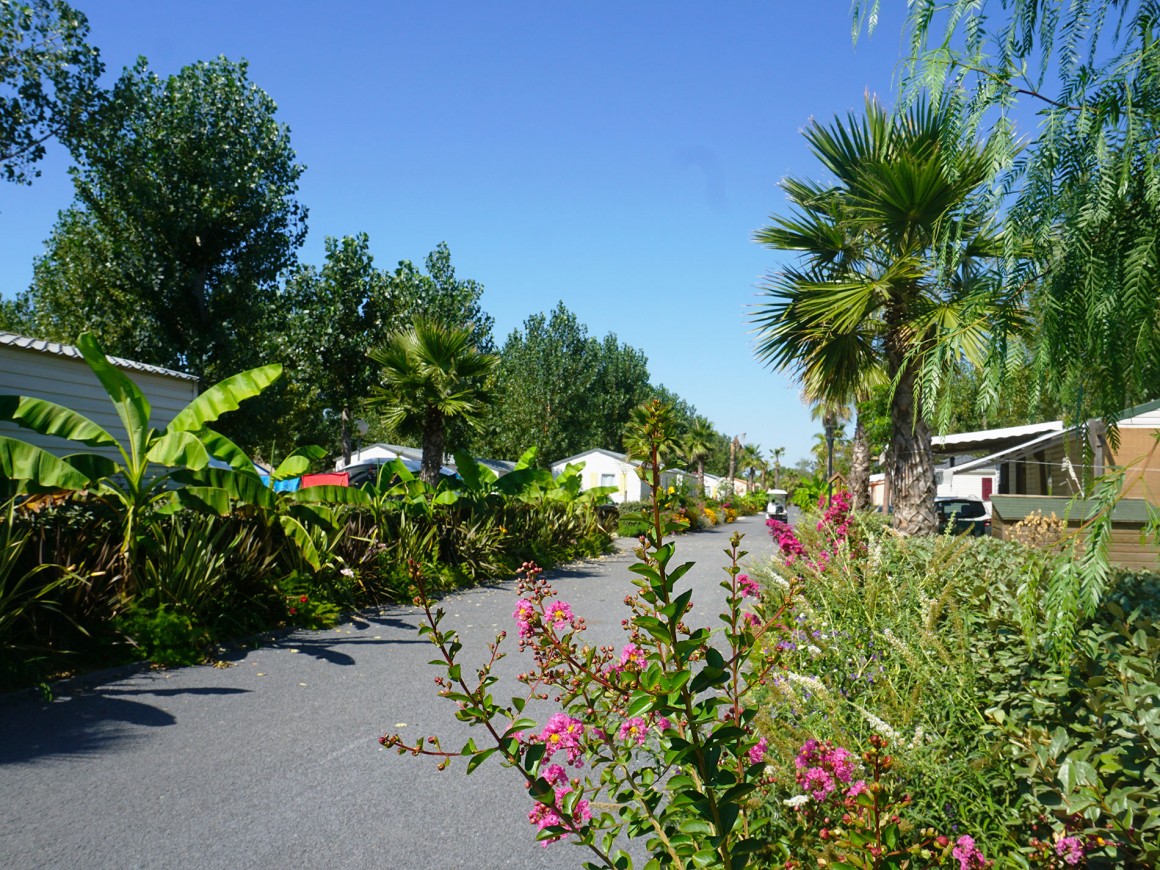 Camping Domaine Sainte Cécile **** Yelloh! Village à Vias Plage