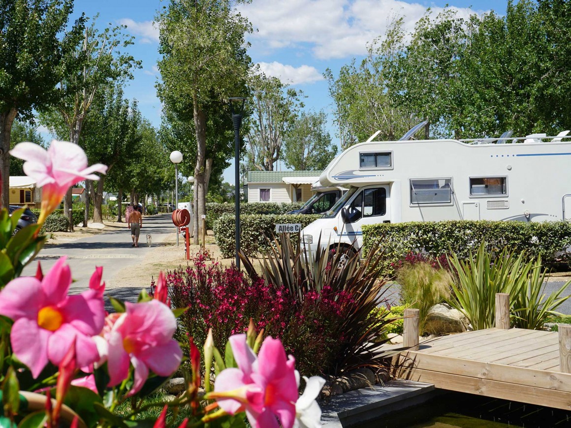 Kampeerplaatsen 2 bloemen Vias Plage Domaine Sainte Cécile