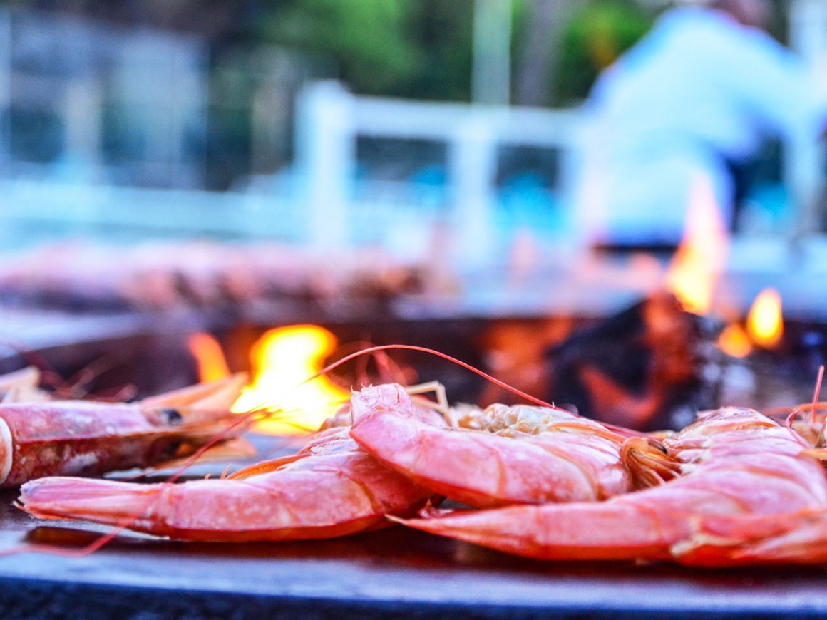 All the facilities at the camping Domaine Sainte Cécile