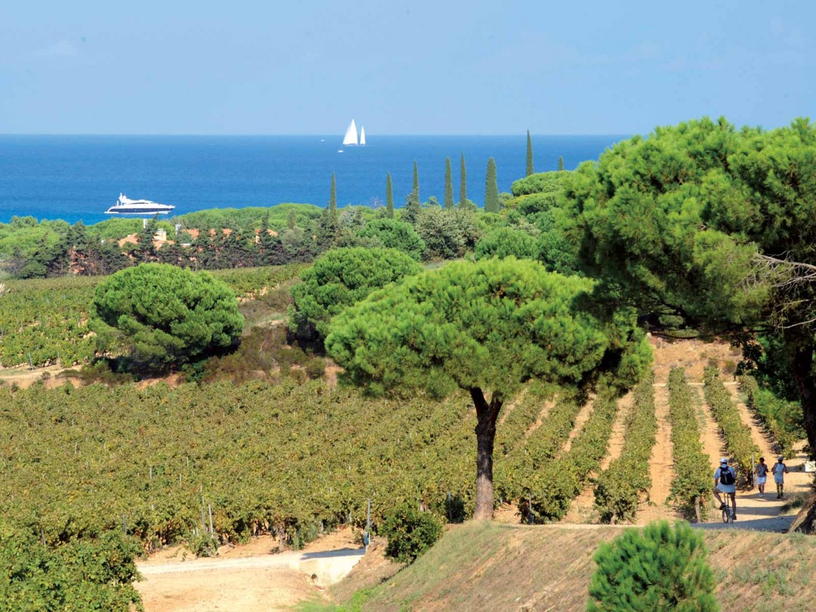 Camping provence alpes c te d azur les tournels ramatuelle var