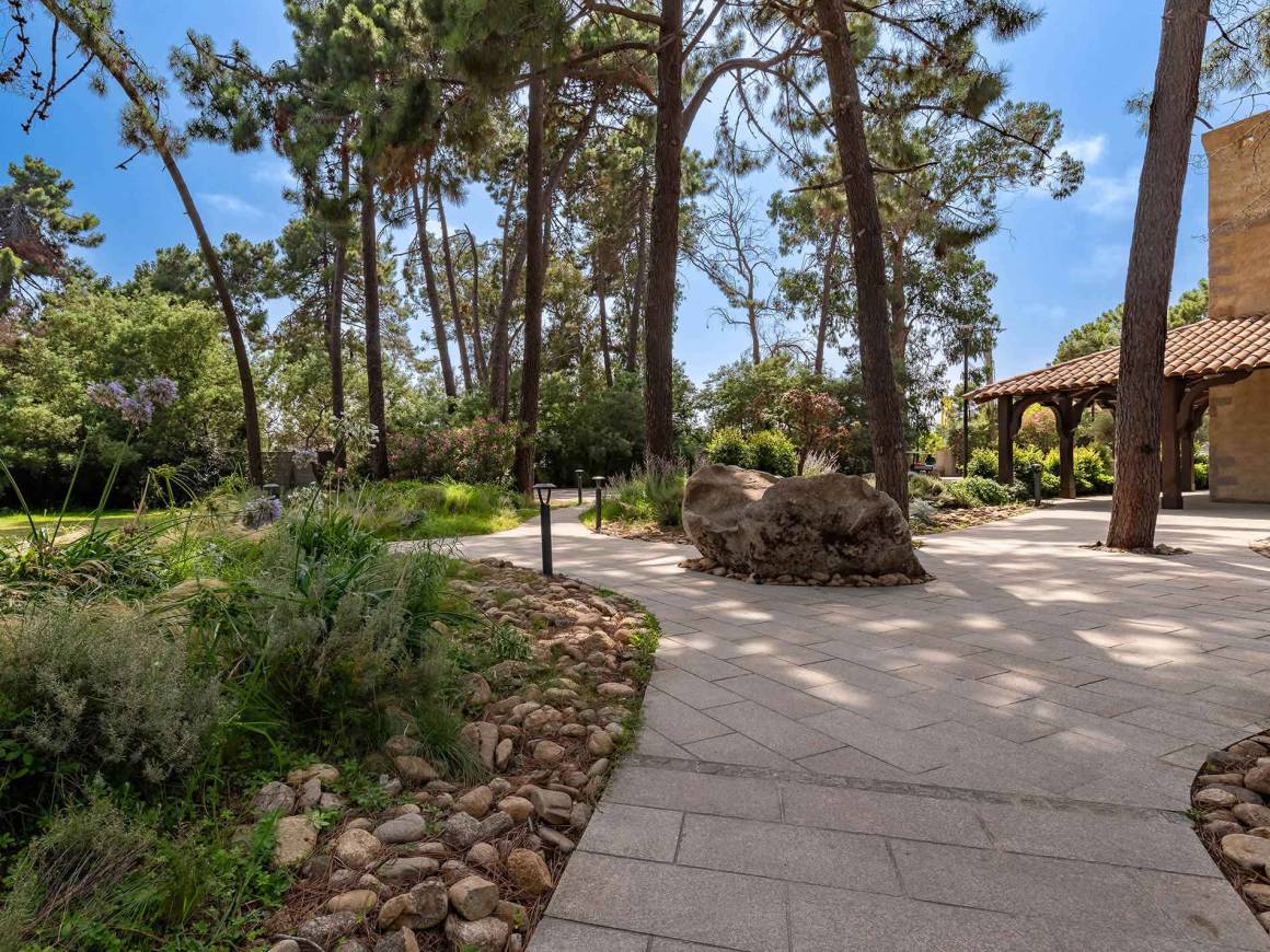 Perle De Mer Cultivée Mabe - Qualité Commerciale - Forme Goutte - Blanche - Pour Création De Bijoux