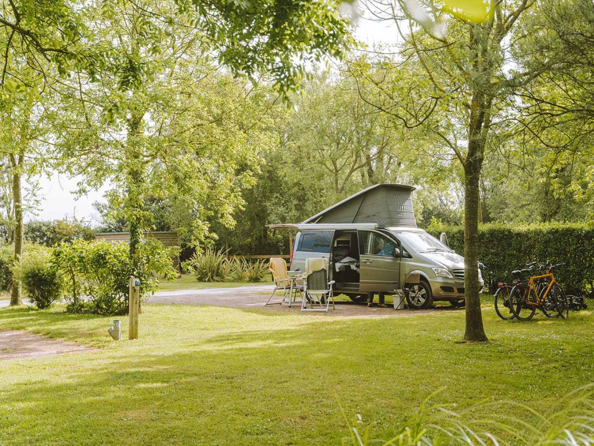 Pitch 4 flowers PortenBessinHuppain