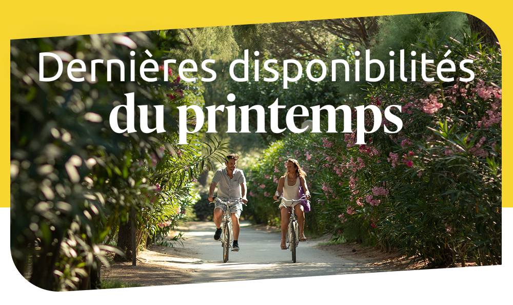 Dernières disponibilités du printemps