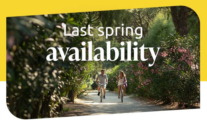 Last spring availability