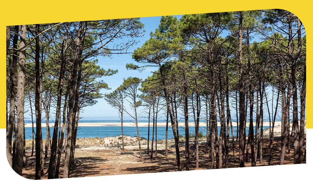 Incendie dans les Landes