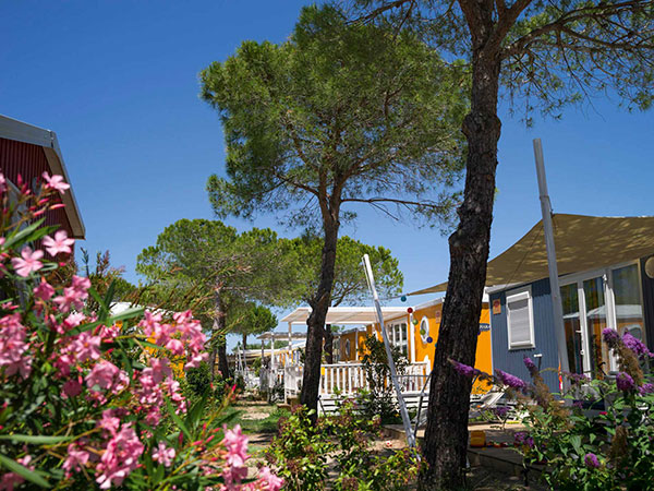 les petits camarguais
