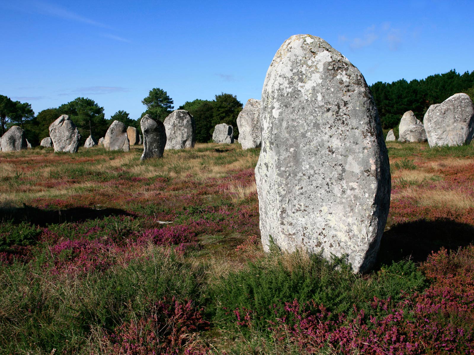 alignements de carnac
