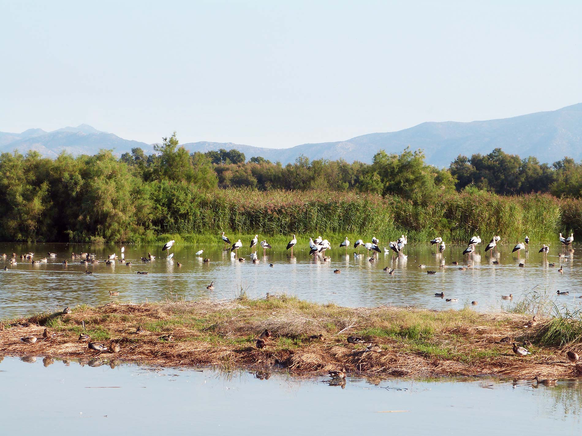 Empordà
