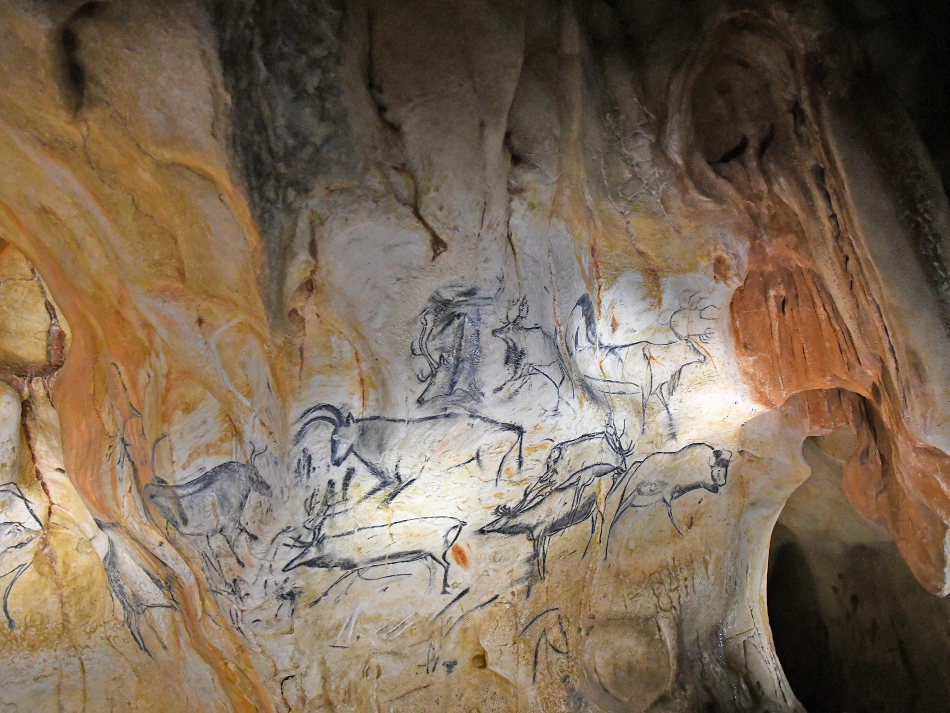 Grotte Chauvet