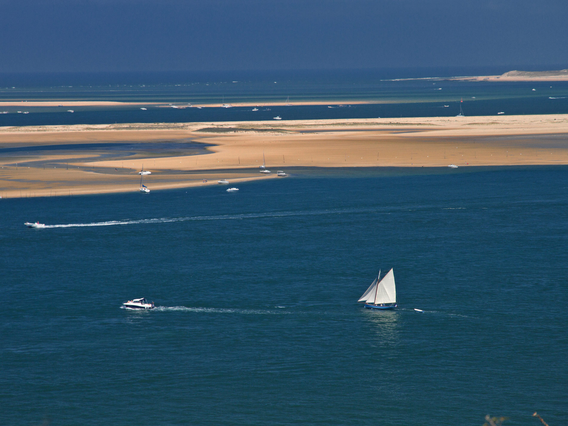 Banc d'Arguin