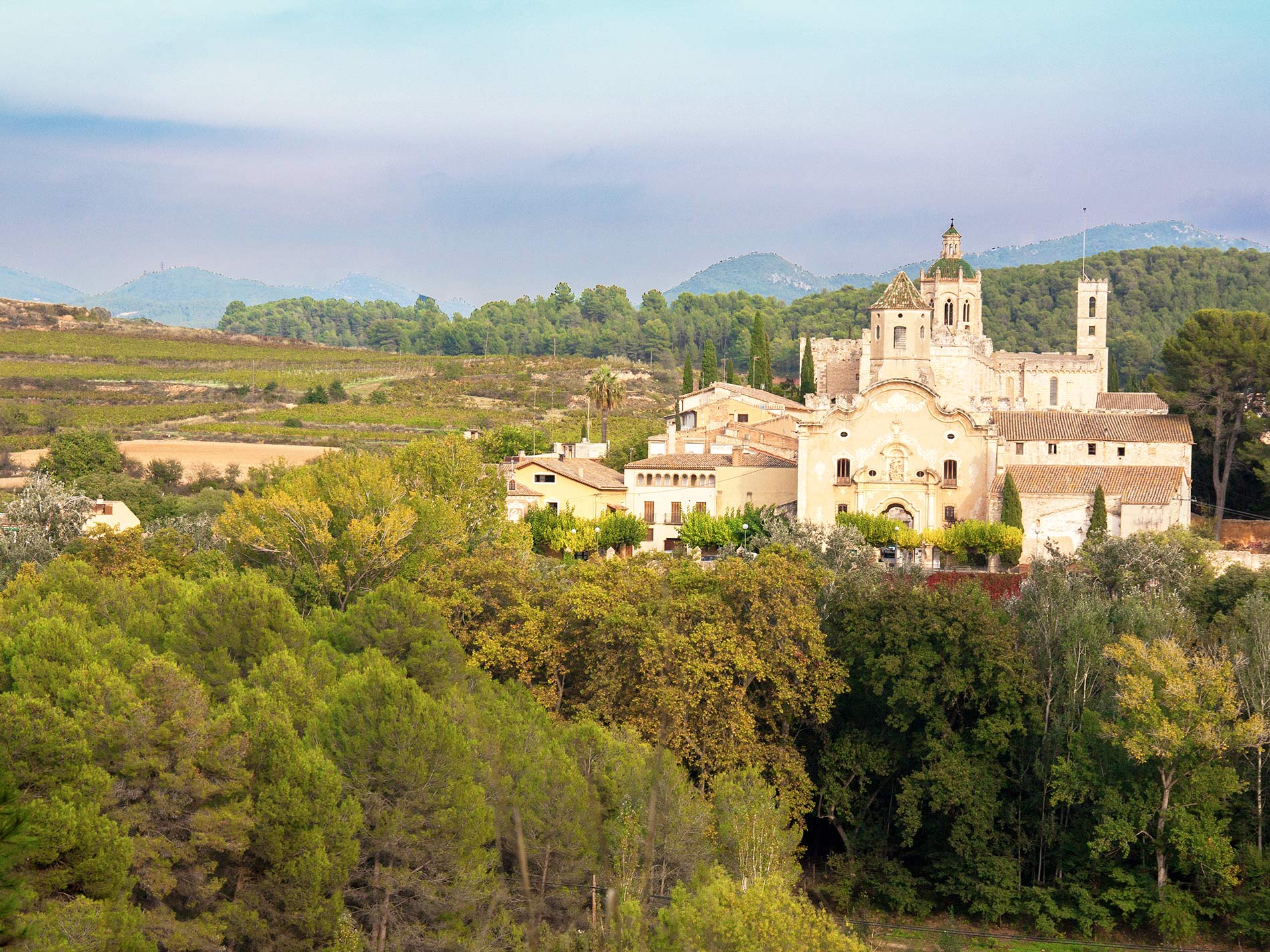Monastère de Santes Creus