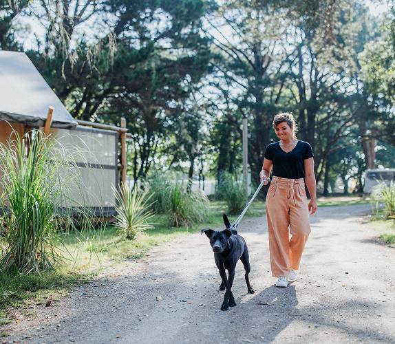 A holiday to share with your dog