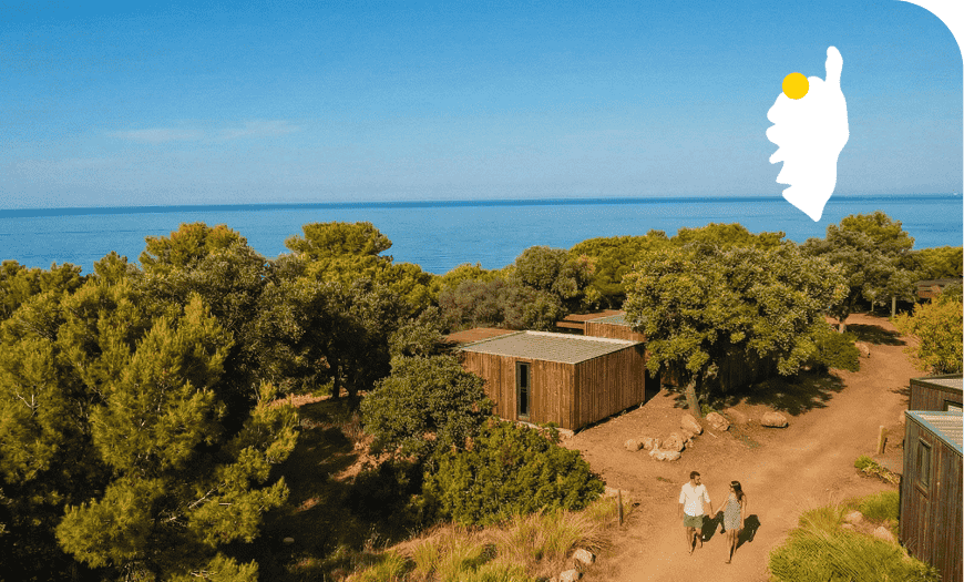 Terre d'Oliviers